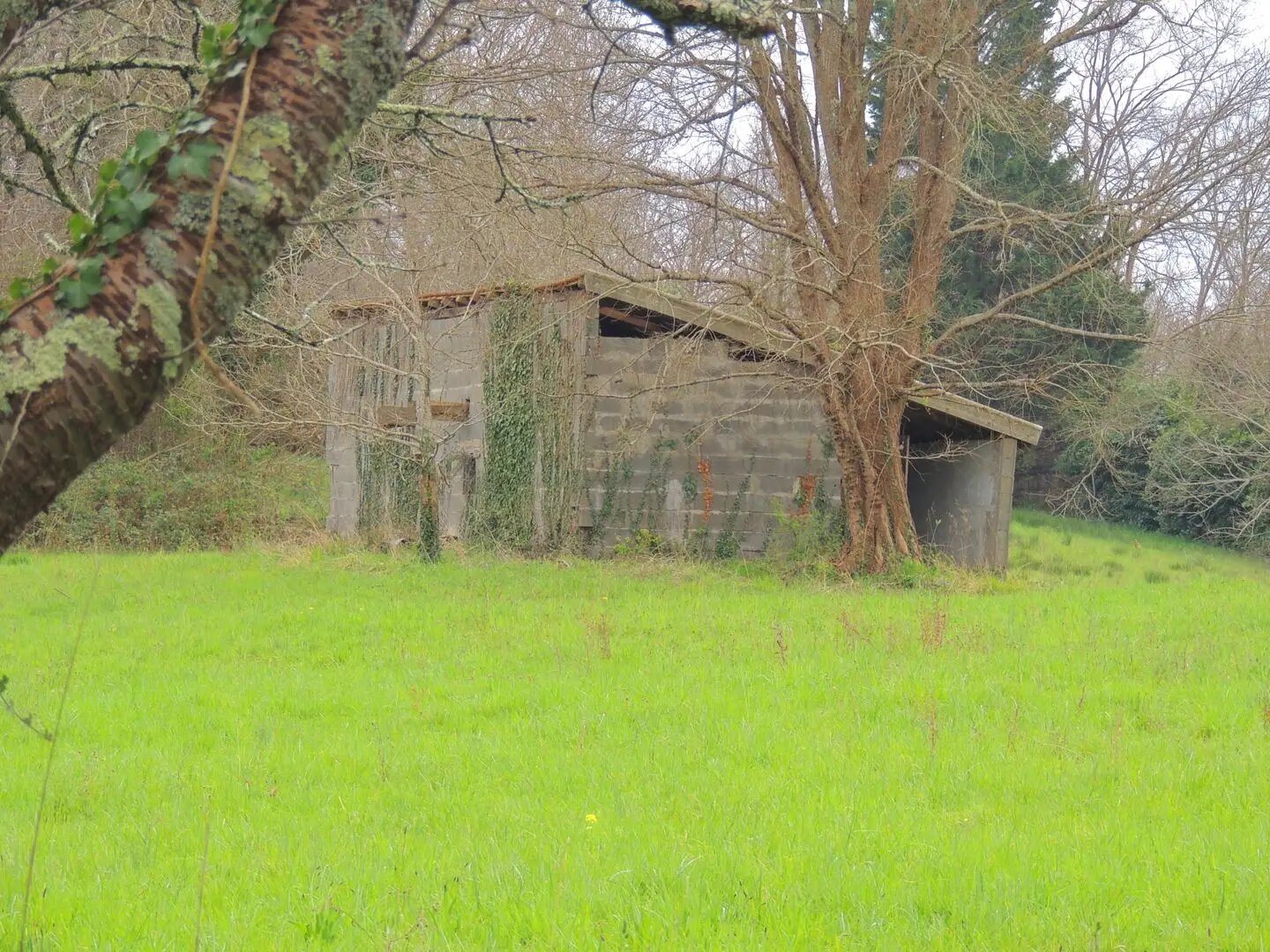 Maison à vendre, 132m², Salies-de-Béarn