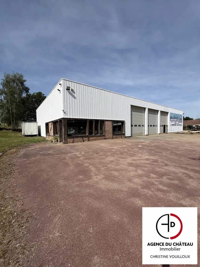 Maison à vendre, 681m², Saint-Aignan-le-Jaillard