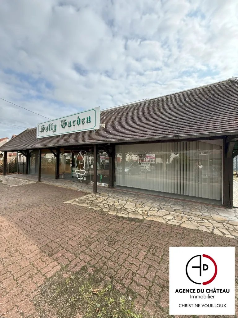 Maison à vendre, 825m², Sully-sur-Loire