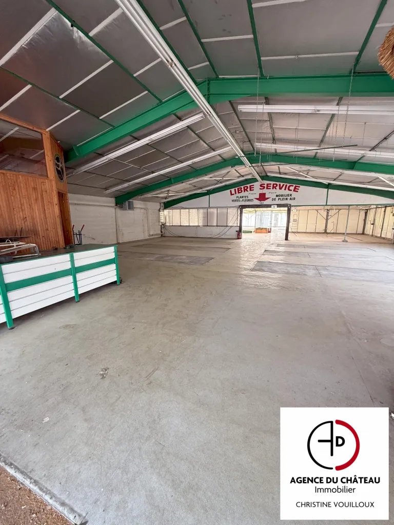 Maison à vendre, 825m², Sully-sur-Loire
