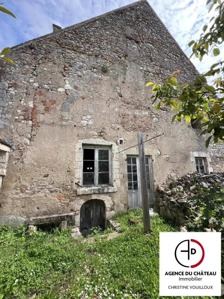 Maison à vendre, 350m², Saint-Benoît-sur-Loire
