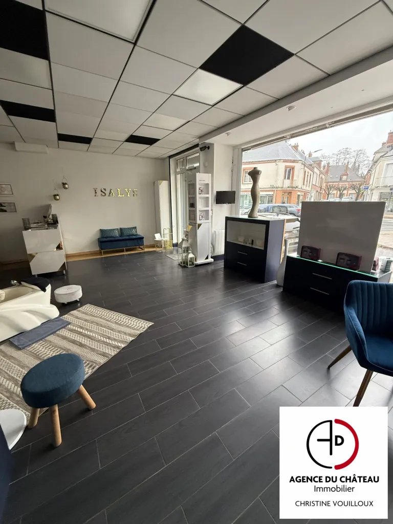 Maison à vendre, 185m², Sully-sur-Loire