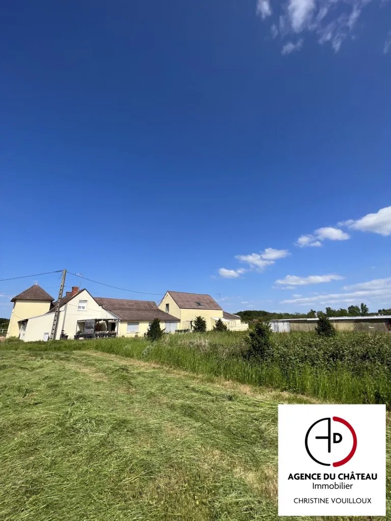 Maison à vendre, 402m², Saint-Benoît-sur-Loire