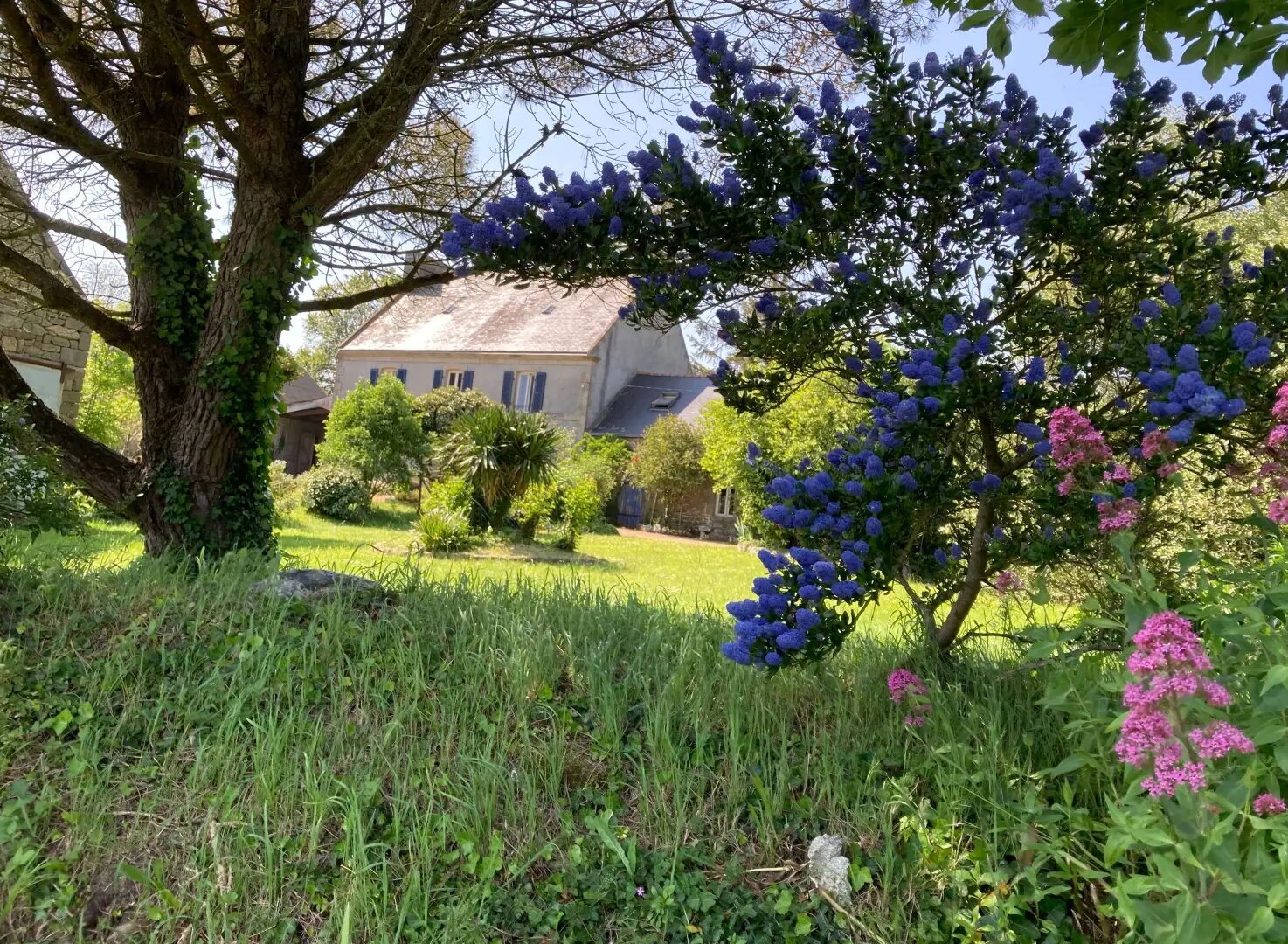 Maison à vendre, 230m², Plonévez-Porzay