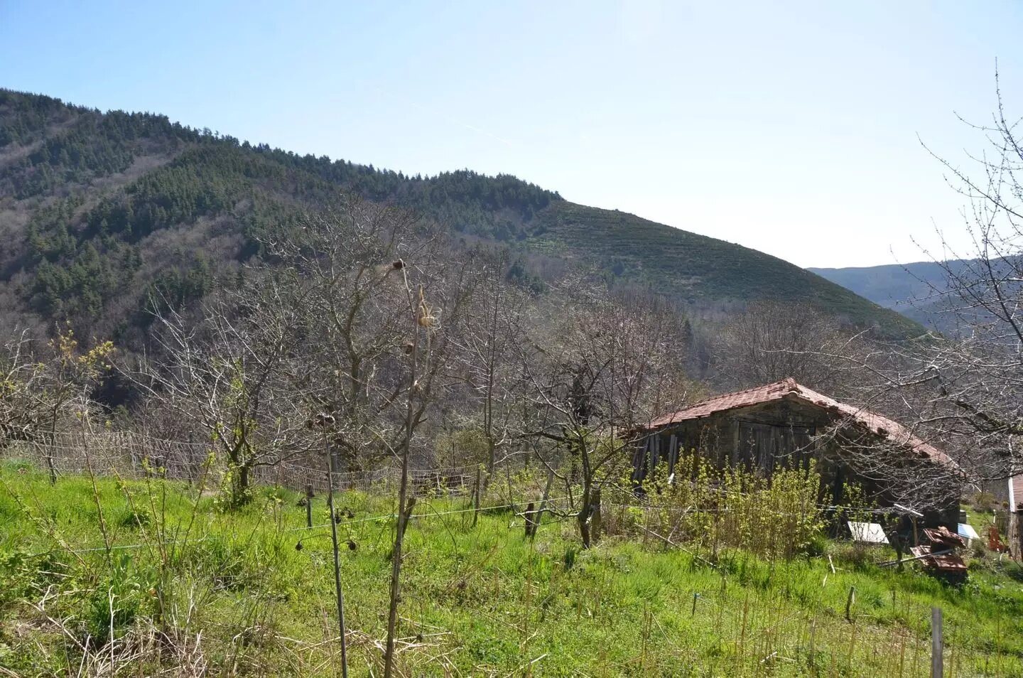 Maison à vendre, 73m², Saint-Genest-Lachamp