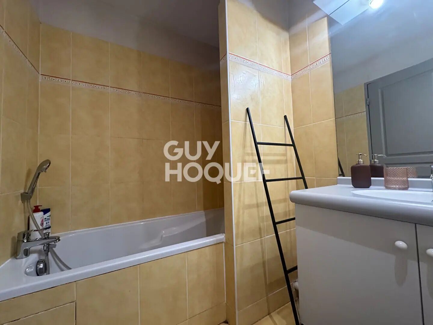 Appartement à vendre, 24m², Lyon 2ème