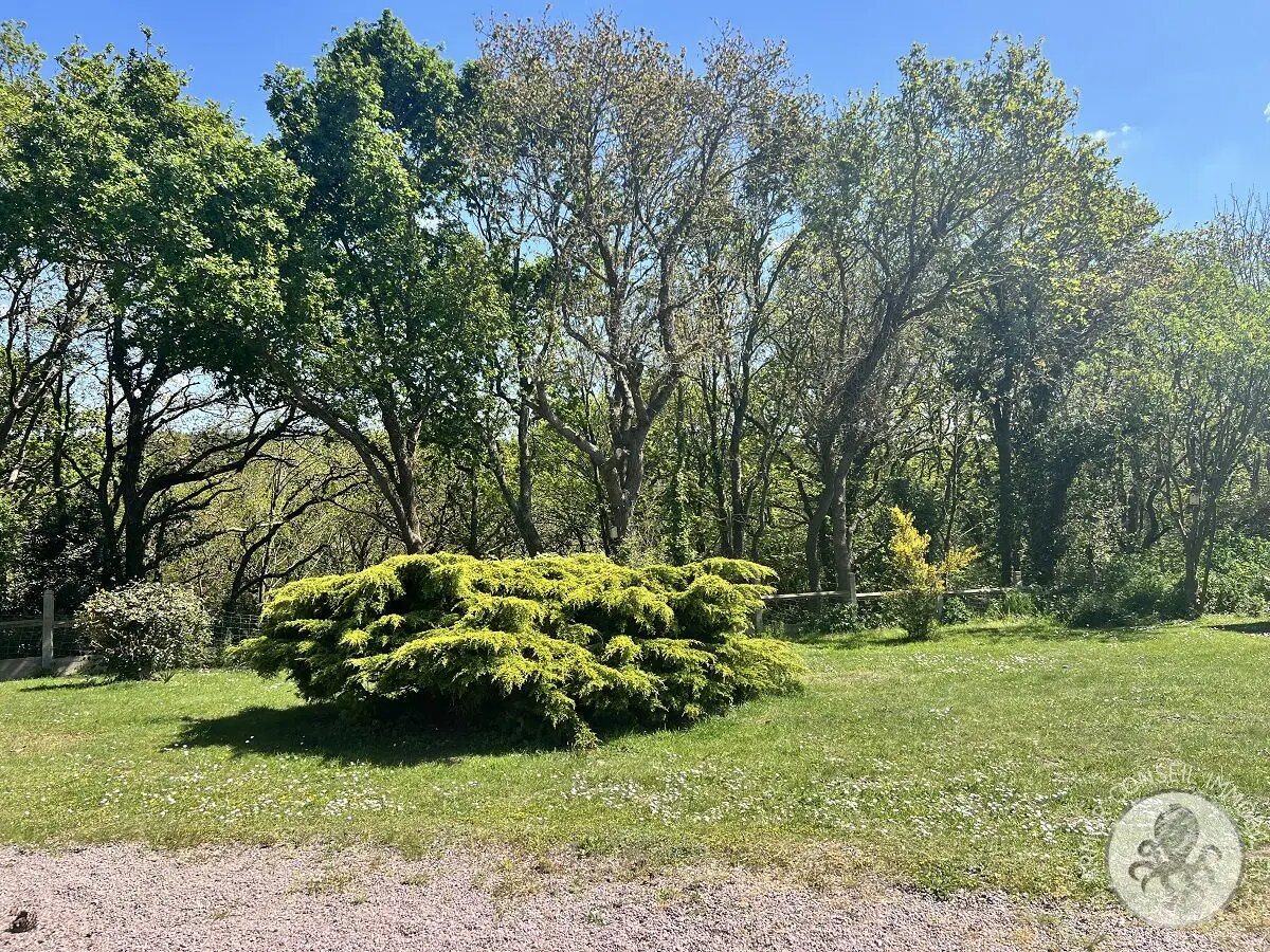Maison à vendre, 260m², Fréhel