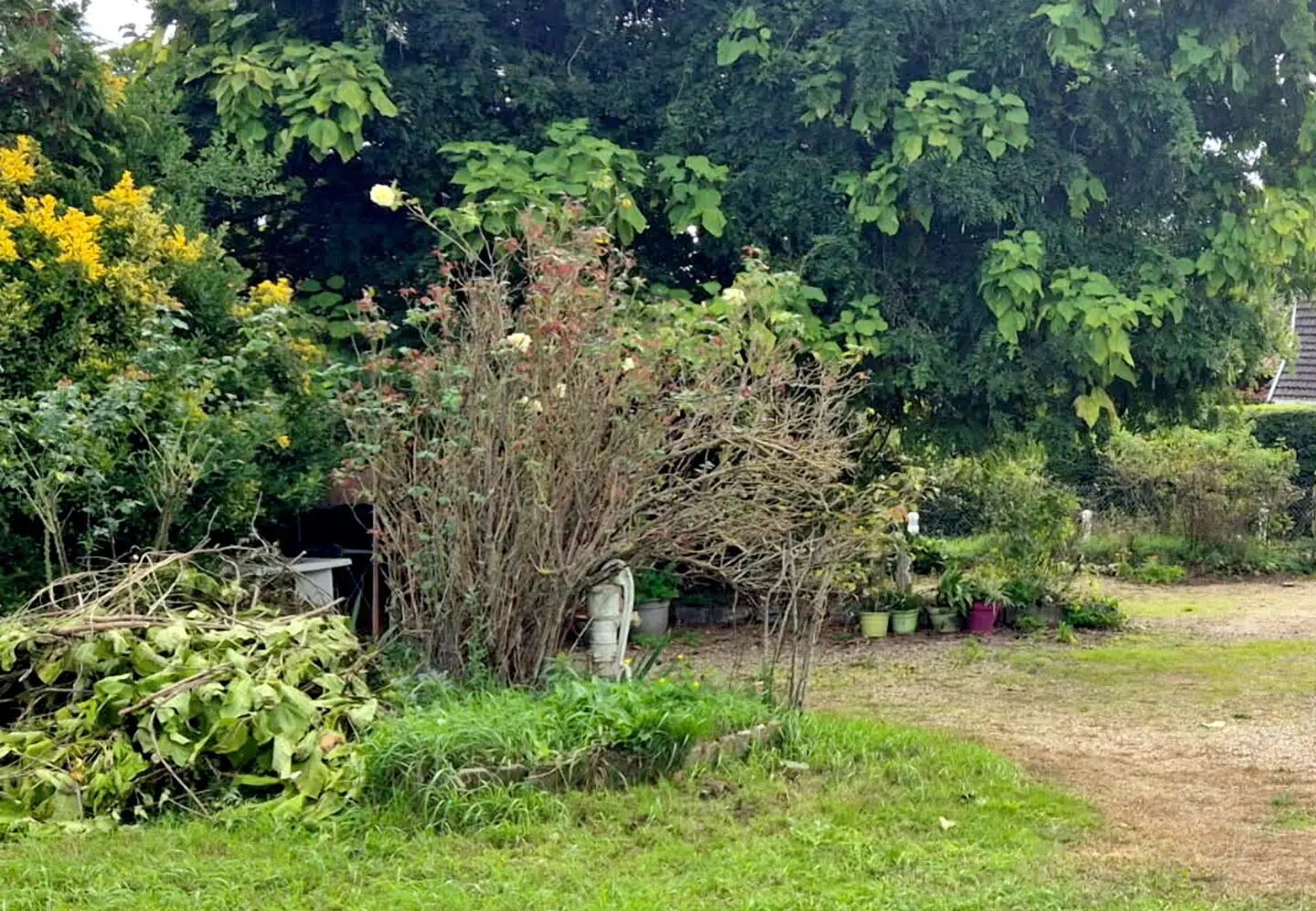 Maison à vendre, 130m², Bragny-sur-Saône