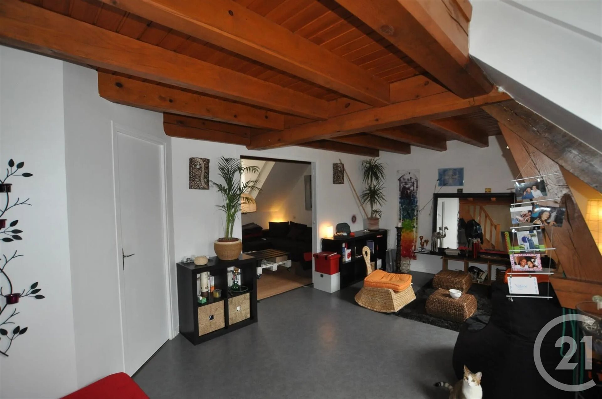 Appartement à louer, 67m², Rodez