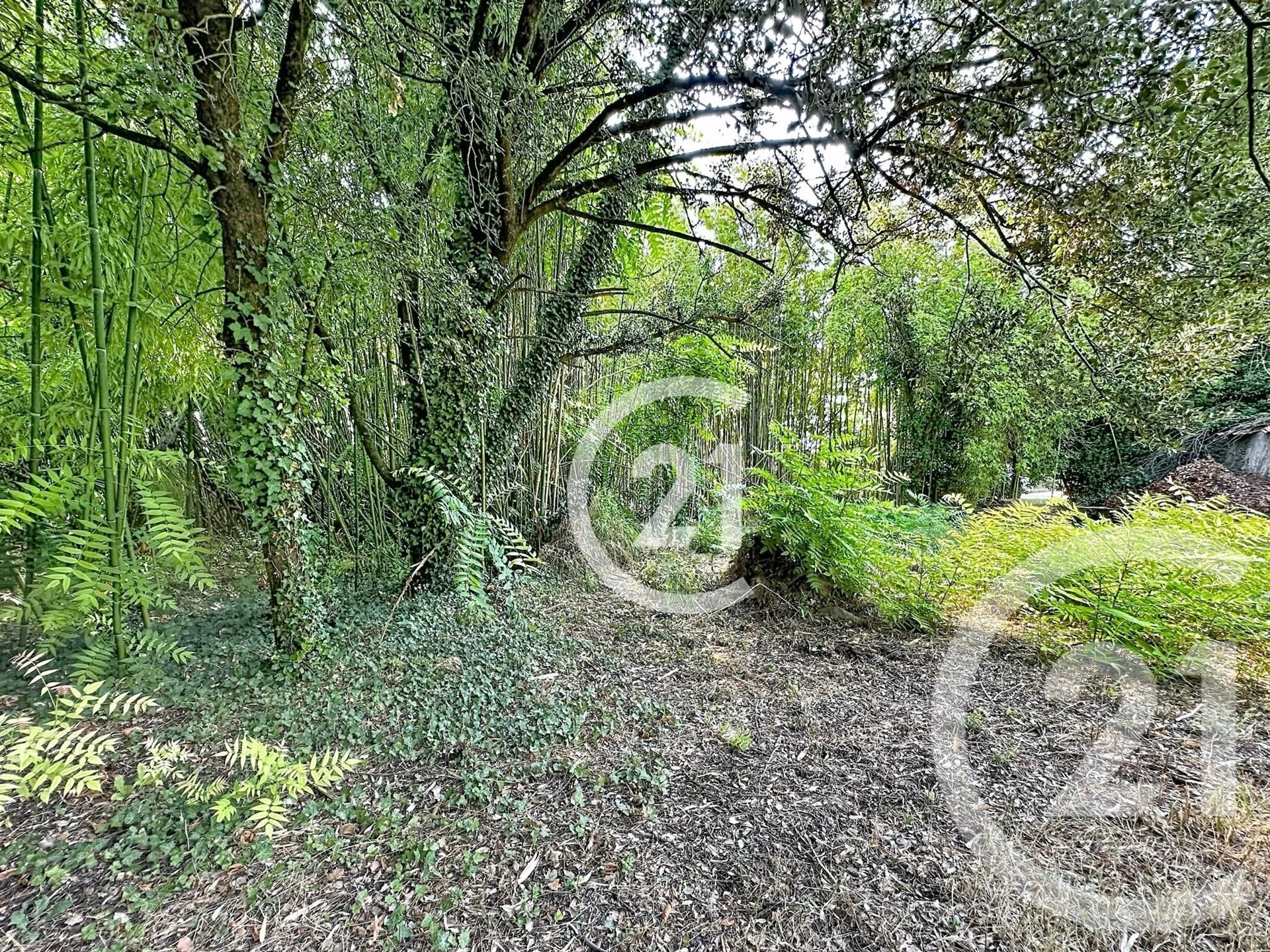 Maison à vendre, 239m², Juillac-le-Coq
