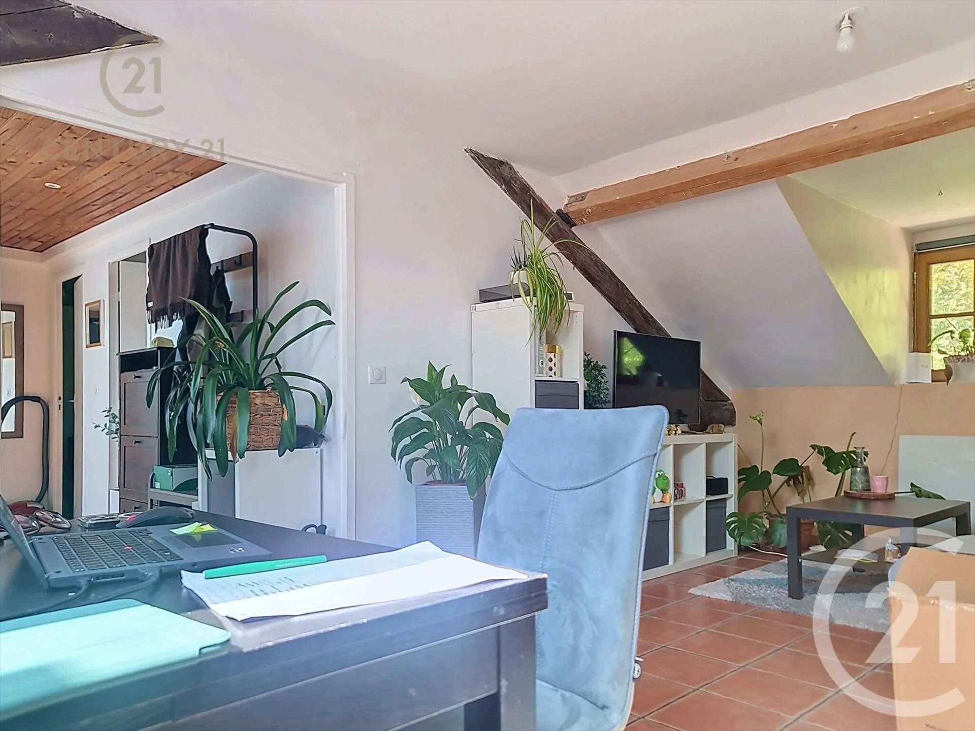 Appartement à louer, 50m², Champs-sur-Marne