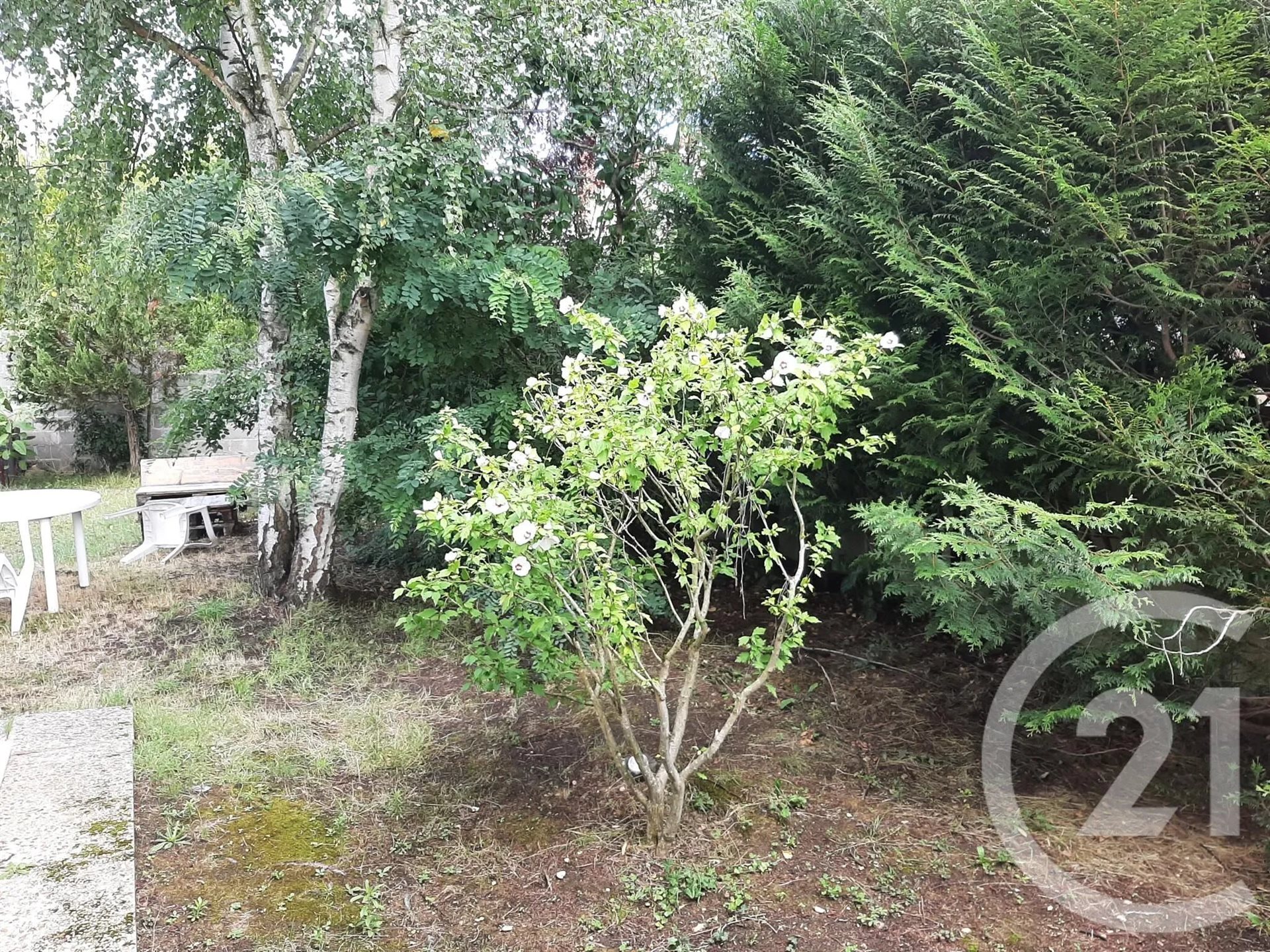 Appartement à louer, 29m², Maisons-Laffitte