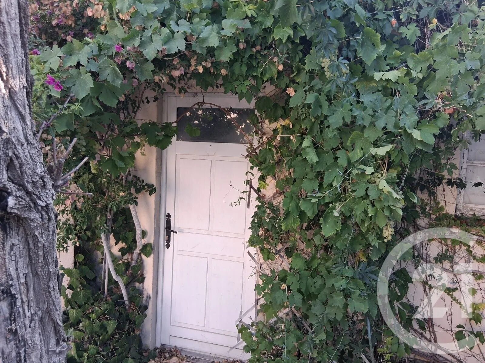 Maison à louer, 67m², La Garde