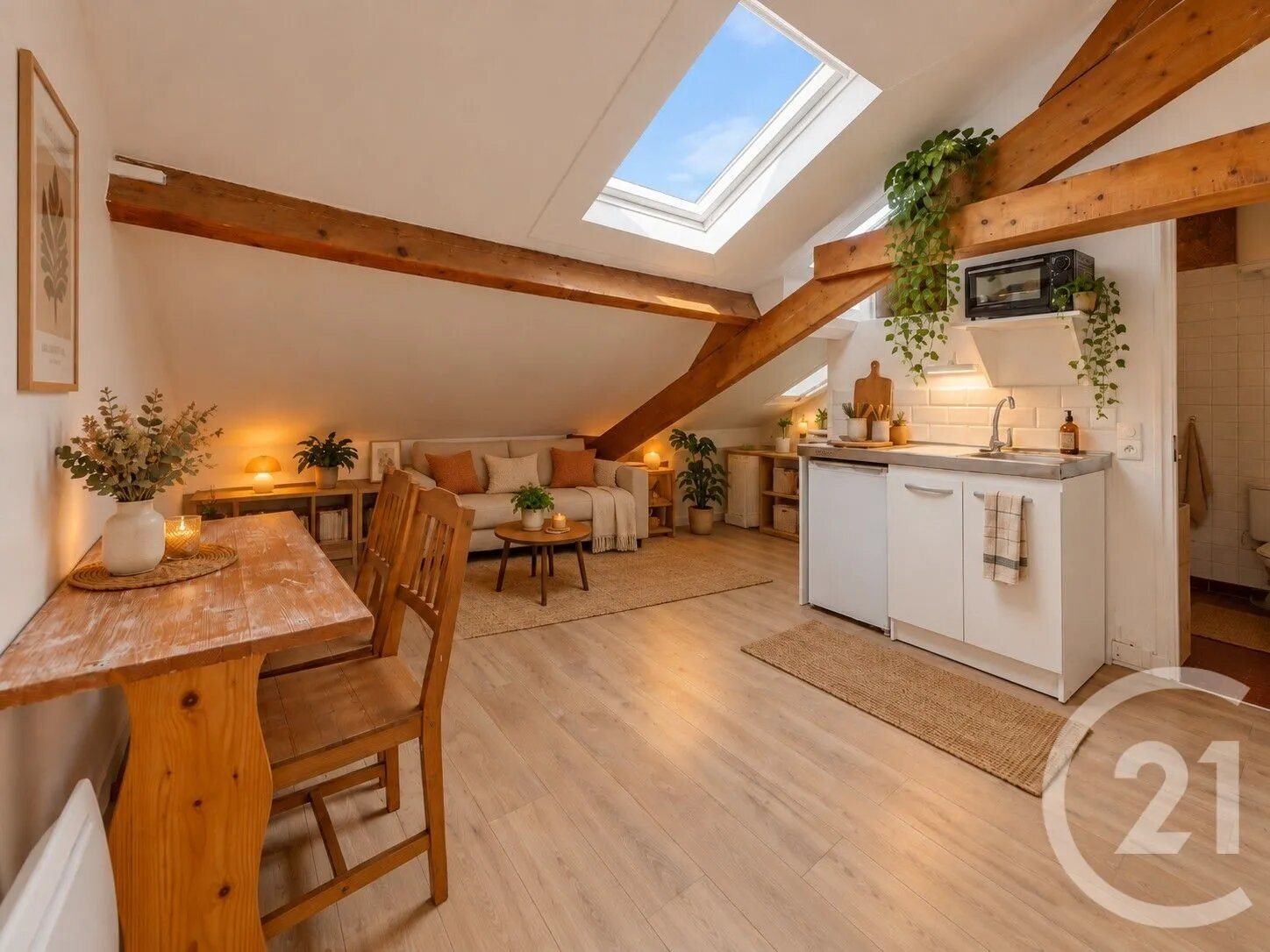 Appartement à vendre, 25m², Montrouge
