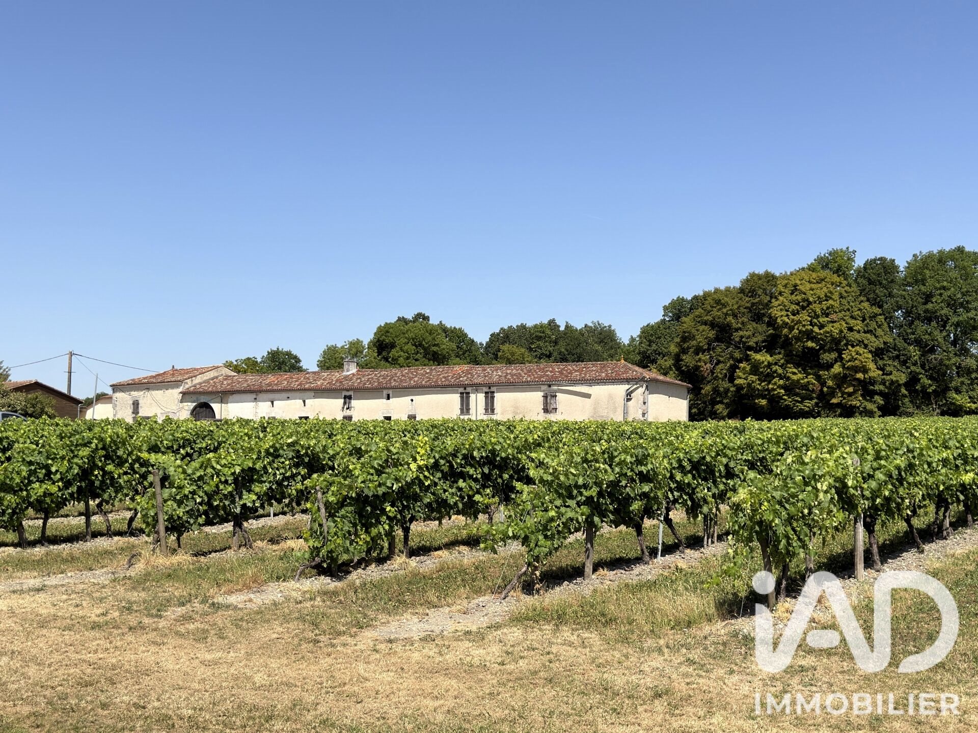 Maison à vendre, 370m², Bellevigne
