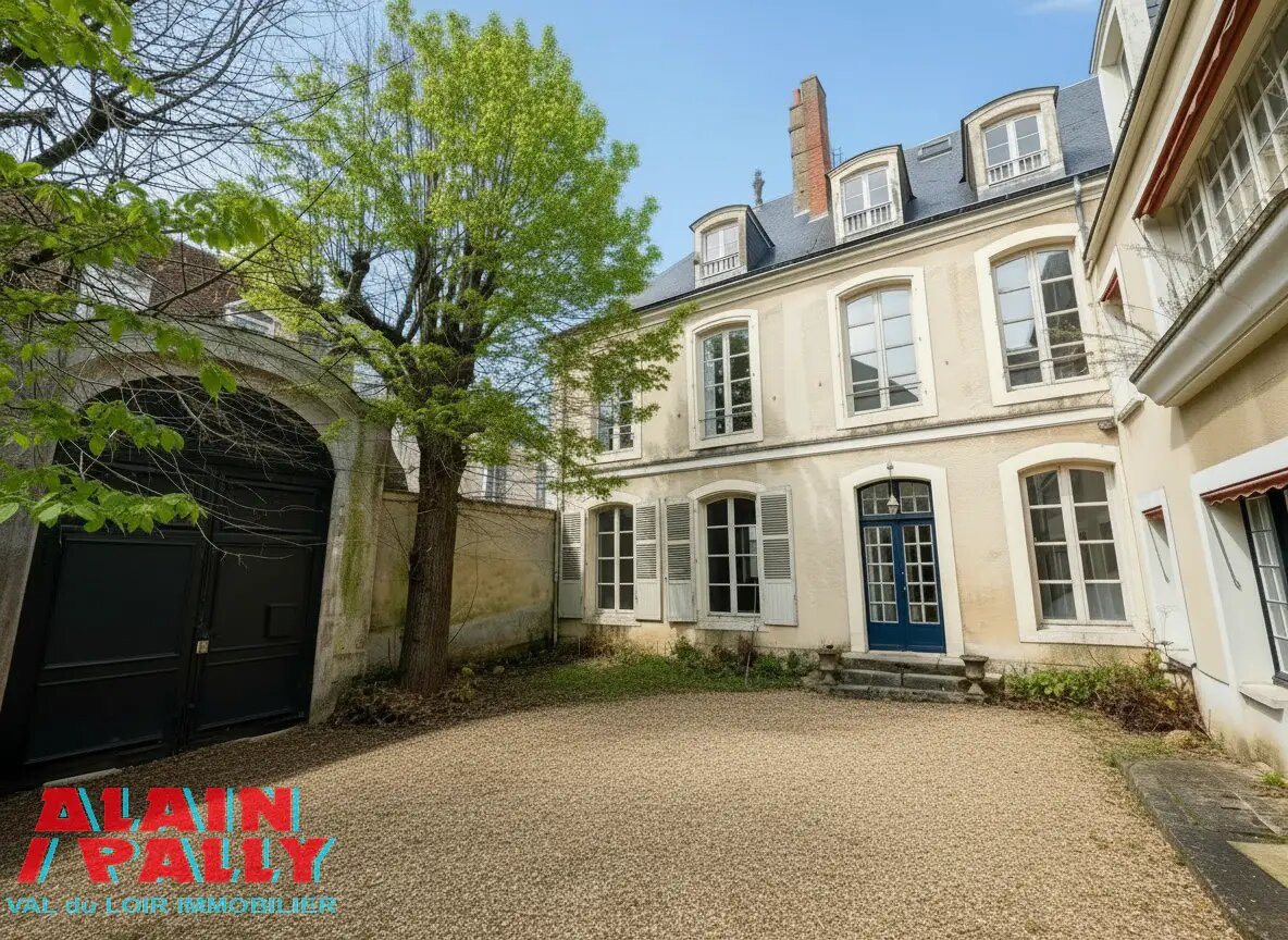 Maison à vendre, 417m², Châteaudun