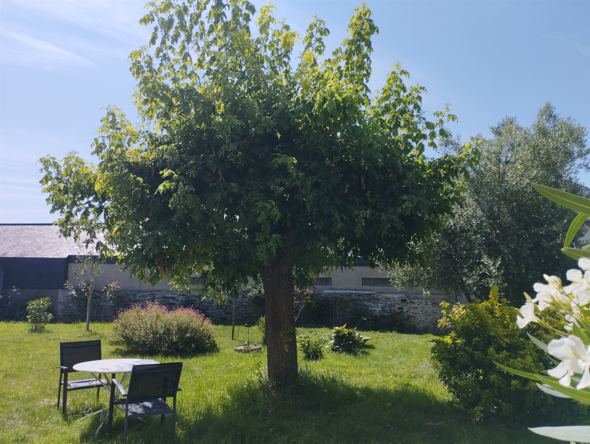Maison à vendre, 306m², Issé