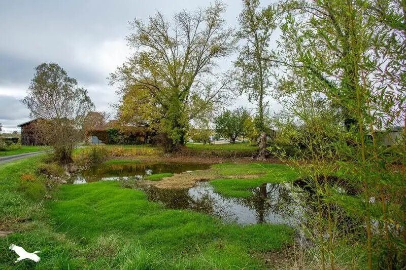 Maison à vendre, 200m², Mourens