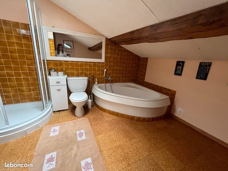 Maison à vendre, 190m², Tonneins