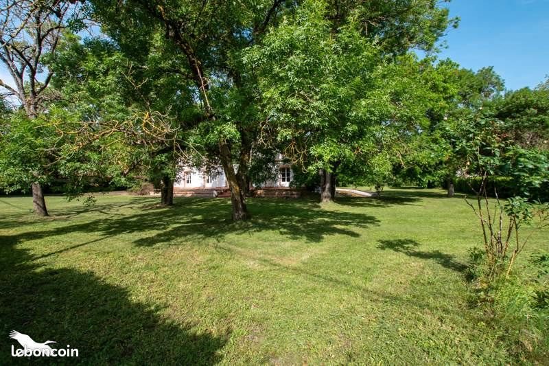 Maison à vendre, 345m², Muret