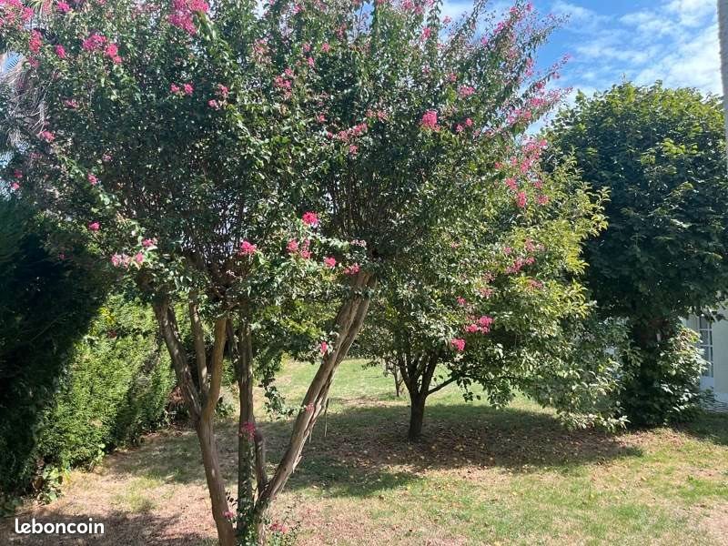 Maison à vendre, 90m², Mazères-Lezons