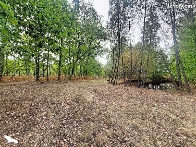 Maison à vendre, 233m², Cavignac