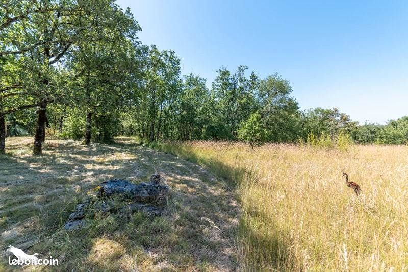Maison à vendre, 155m², Saint-Antonin-Noble-Val