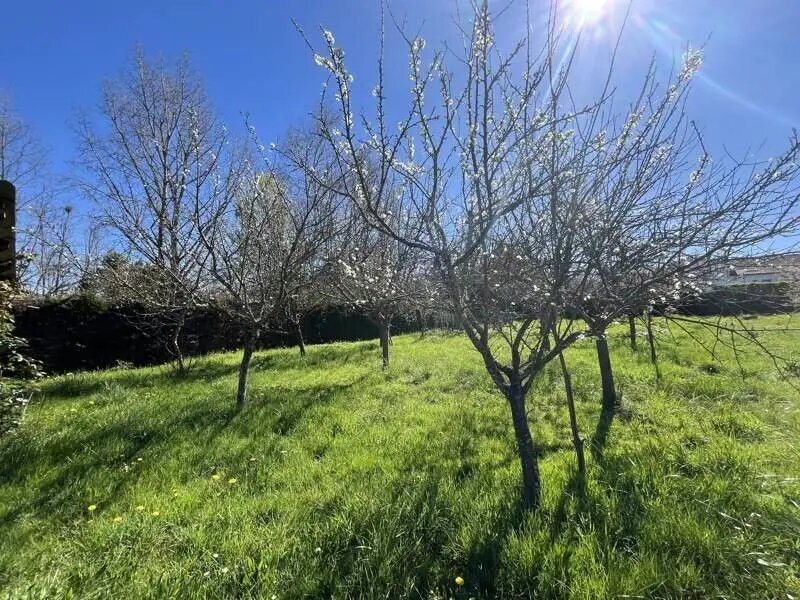 Maison à vendre, 107m², Le Buisson-de-Cadouin