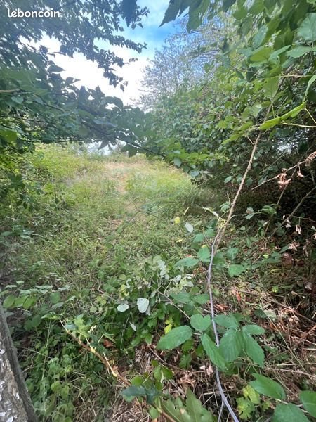 Maison à vendre, 90m², Rochecorbon