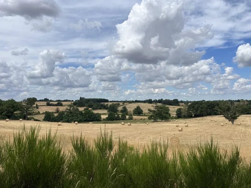 Maison à vendre, 154m², Saint-Amand-Magnazeix