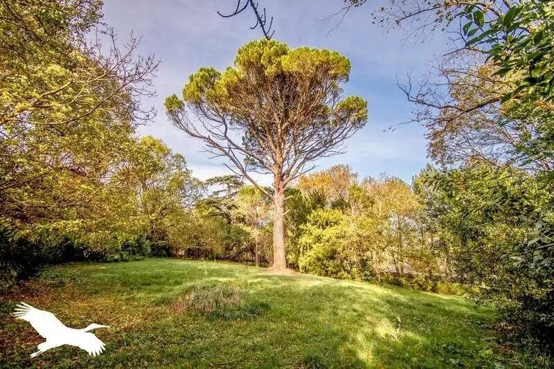 Maison à vendre, 275m², Villefranche-de-Lauragais