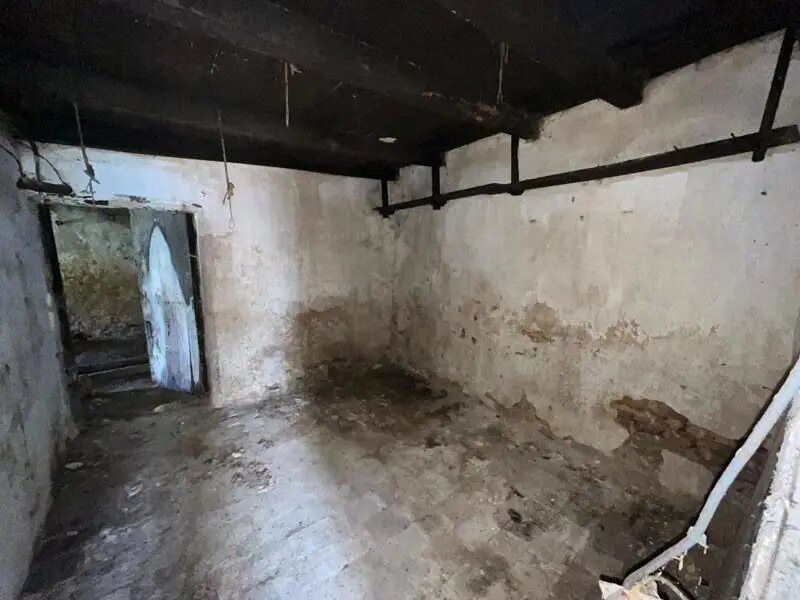 Maison à vendre, 236m², Brizambourg