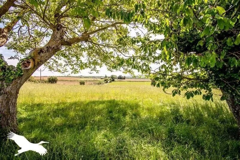 Maison à vendre, 175m², Villefranche-de-Lauragais