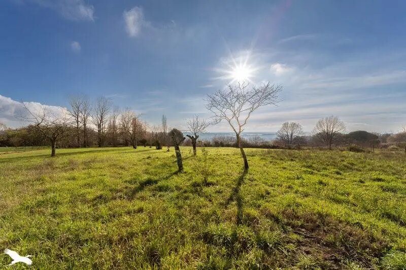 Maison à vendre, 71m², Plassac