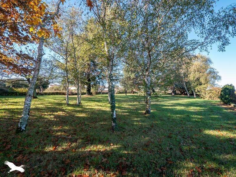 Maison à vendre, 283m², Rieucros