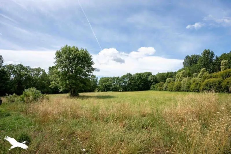 Maison à vendre, 170m², Mirambeau