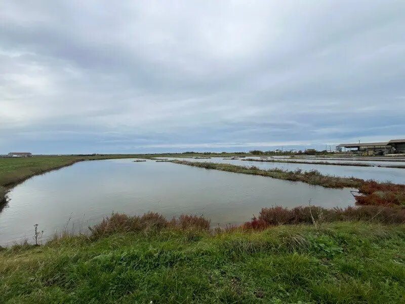 Maison à vendre, 85m², Nieulle-sur-Seudre