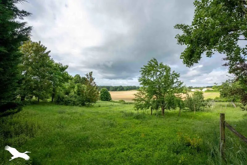 Maison à vendre, 200m², Mirambeau