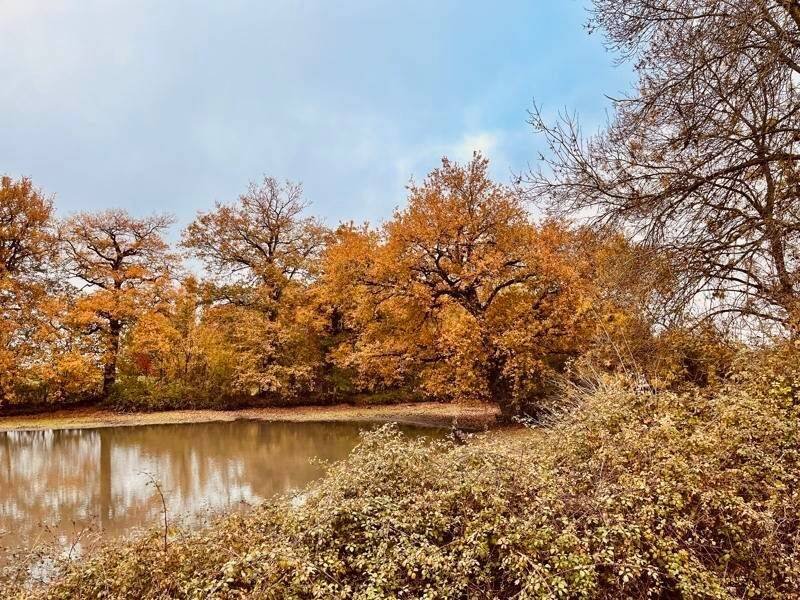 Maison à vendre, 114m², Noyant-Villages