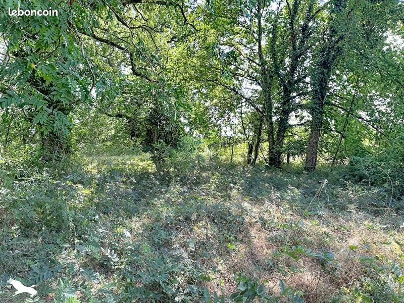 Maison à vendre, 87m², Labrit