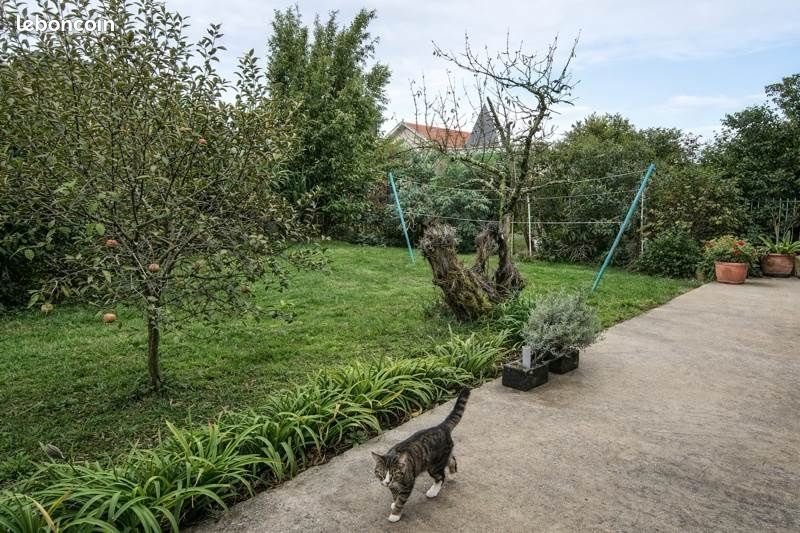 Maison à vendre, 147m², Pessac