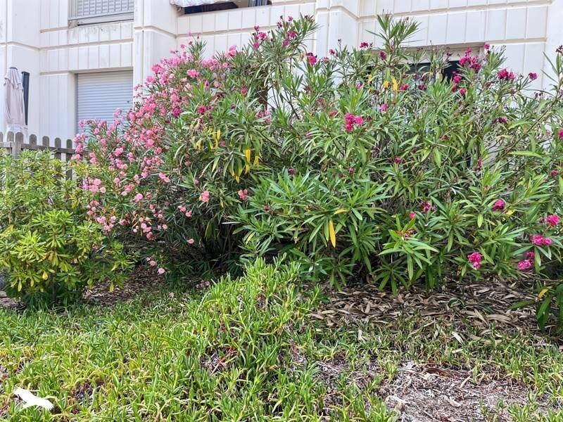 Appartement à vendre, 22m², Soulac-sur-Mer