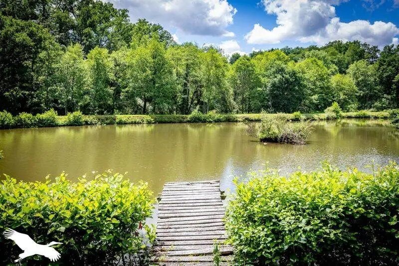 Maison à vendre, 134m², Albussac