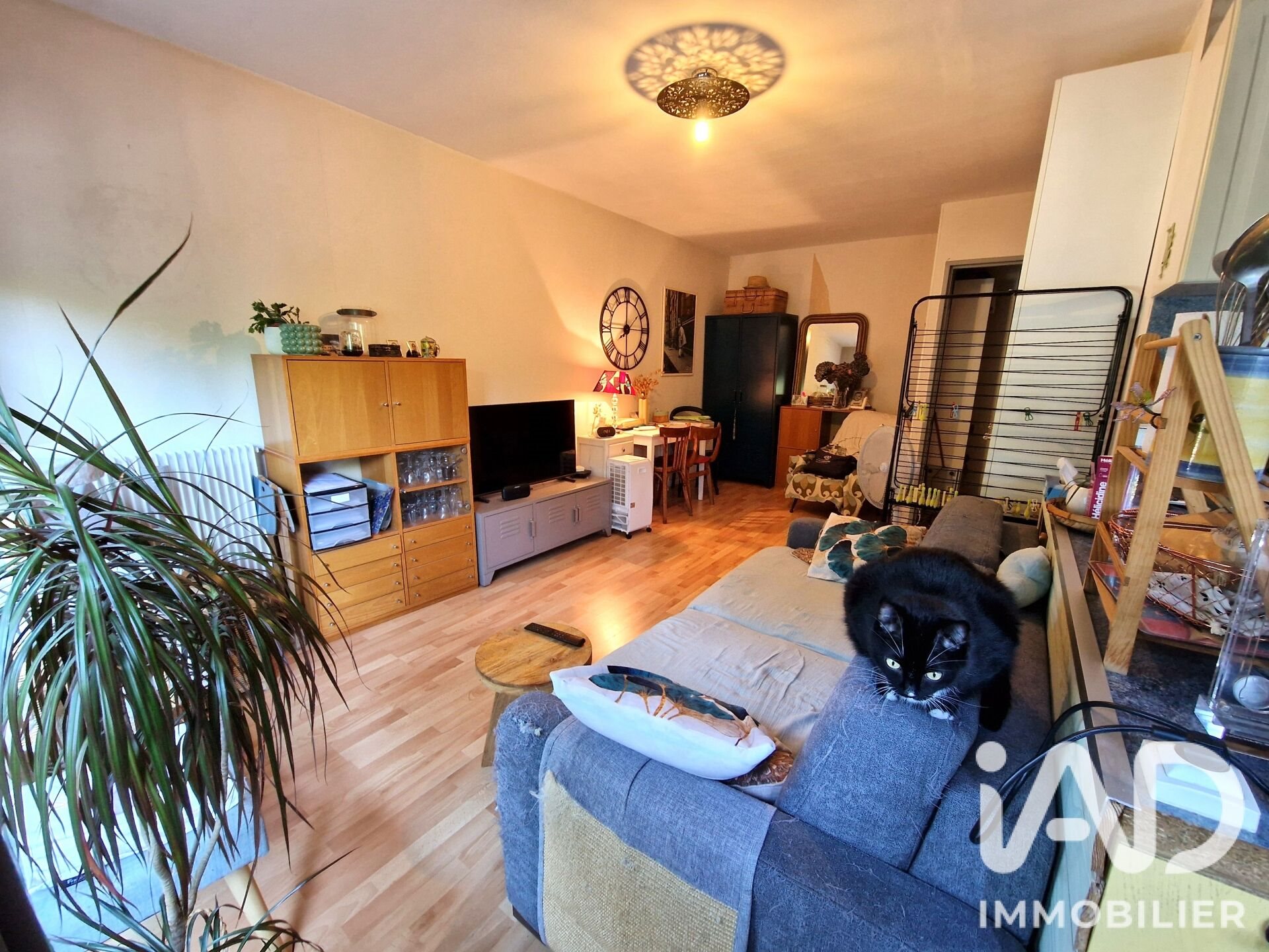 Appartement à vendre, 29m², Chelles