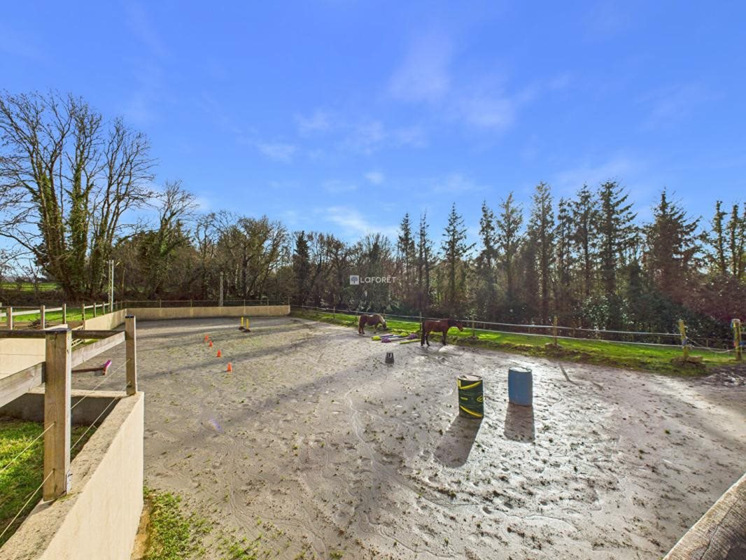 Maison à vendre, 490m², Plogonnec