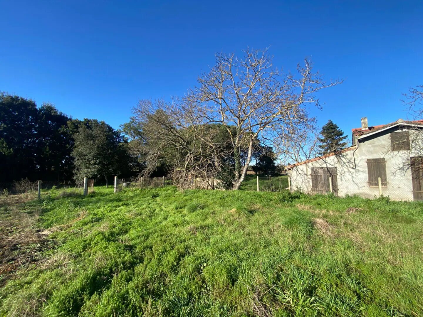 Maison à vendre, 70m², Muret