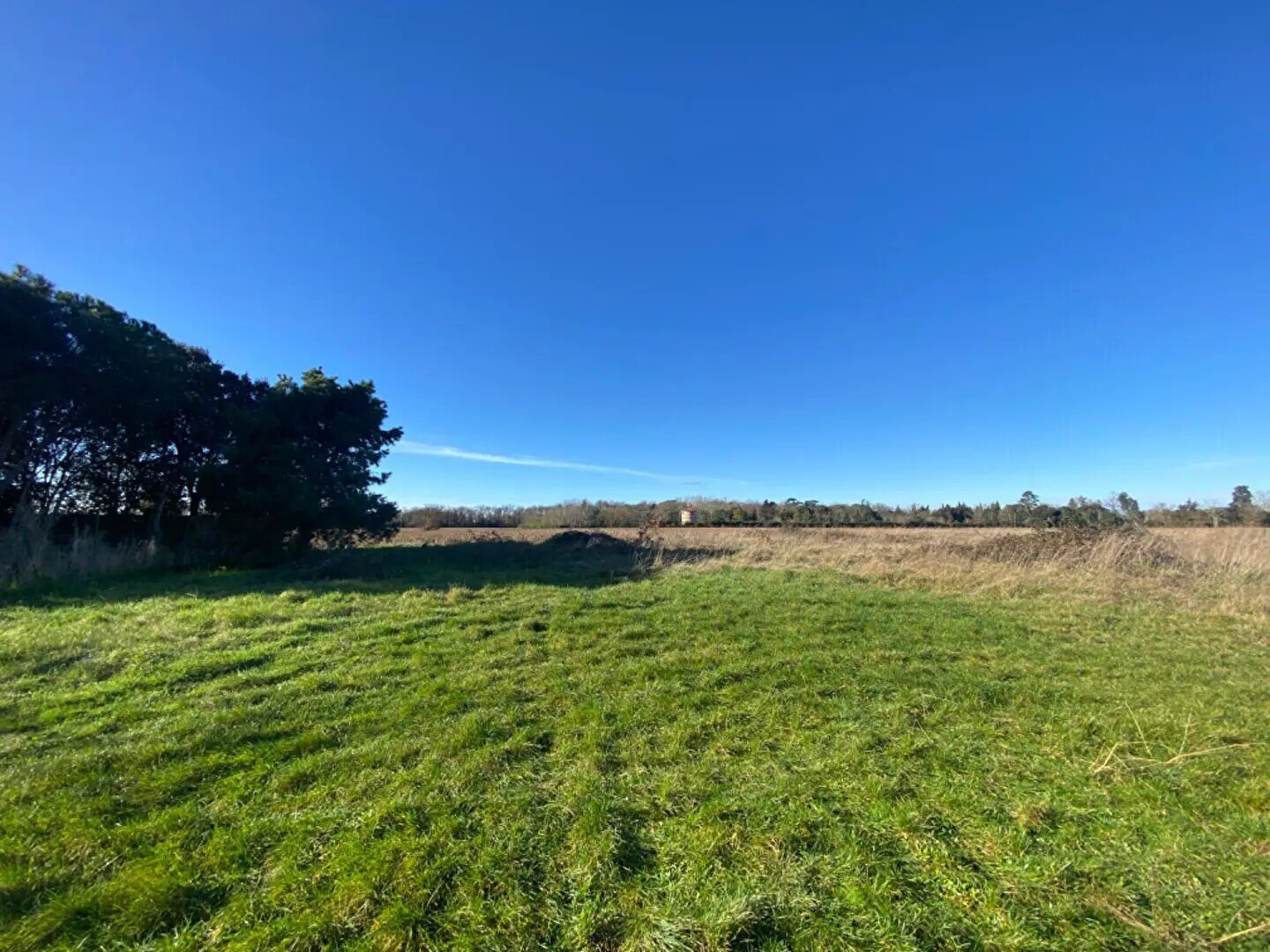Maison à vendre, 70m², Muret