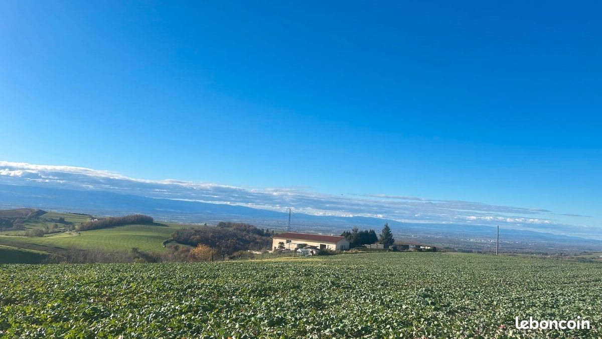 Maison à vendre, 100m², Chazelles-sur-Lyon