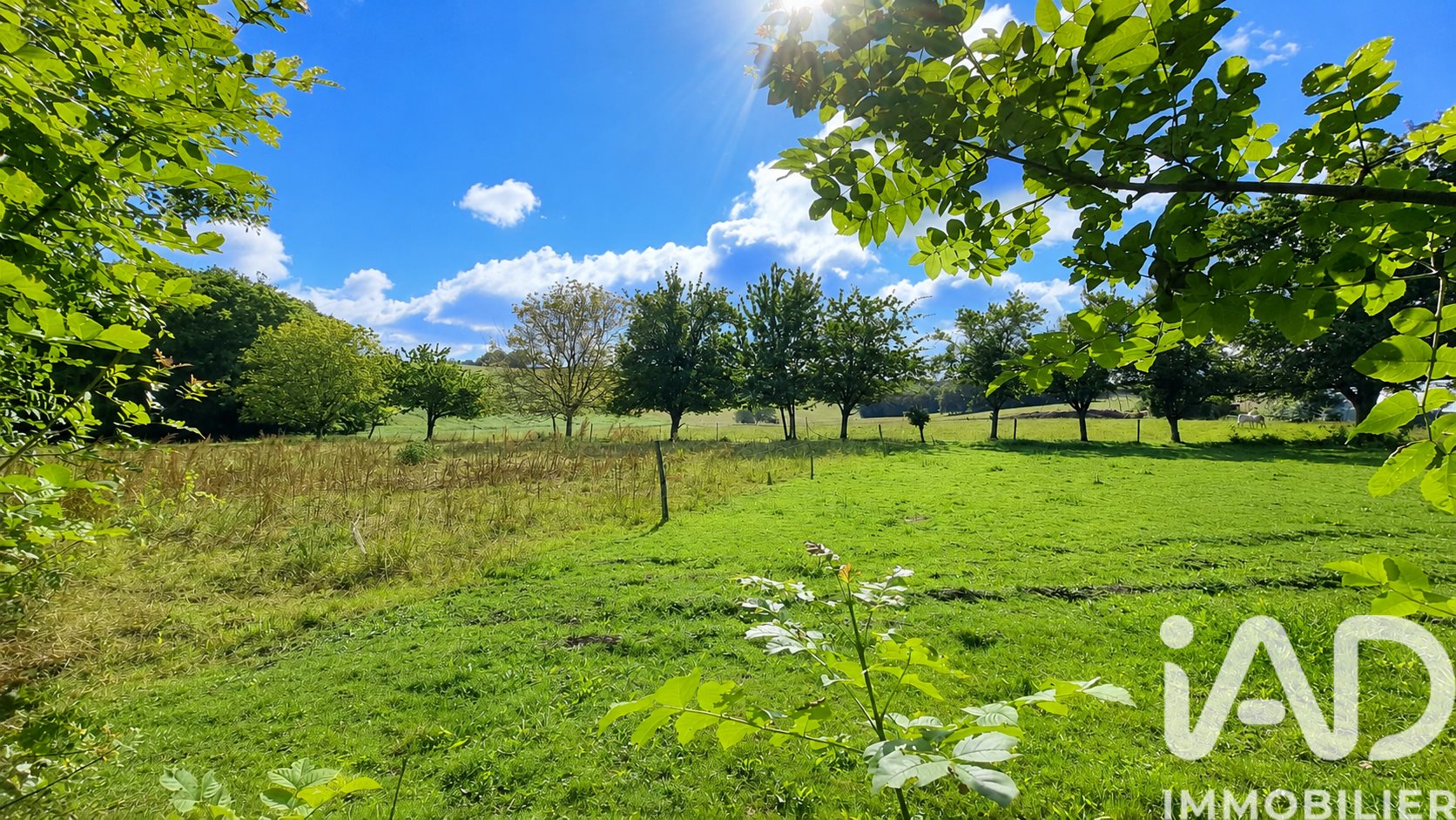 Maison à vendre, 242m², Verteillac