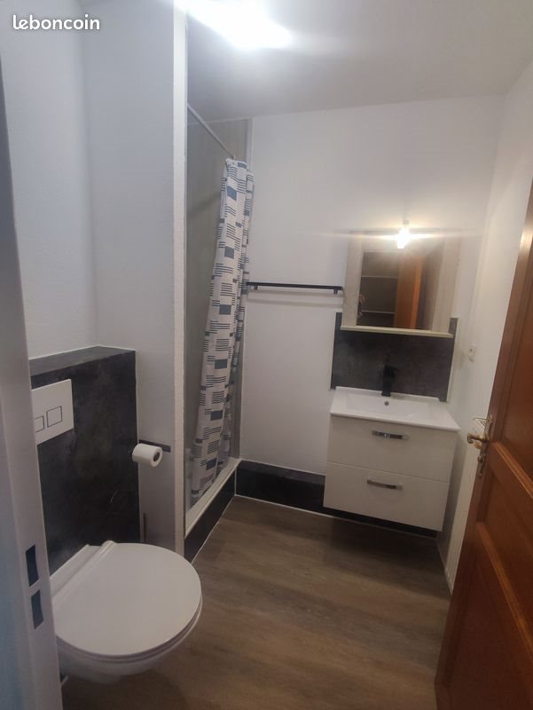 Appartement à louer, 22m², Mulhouse